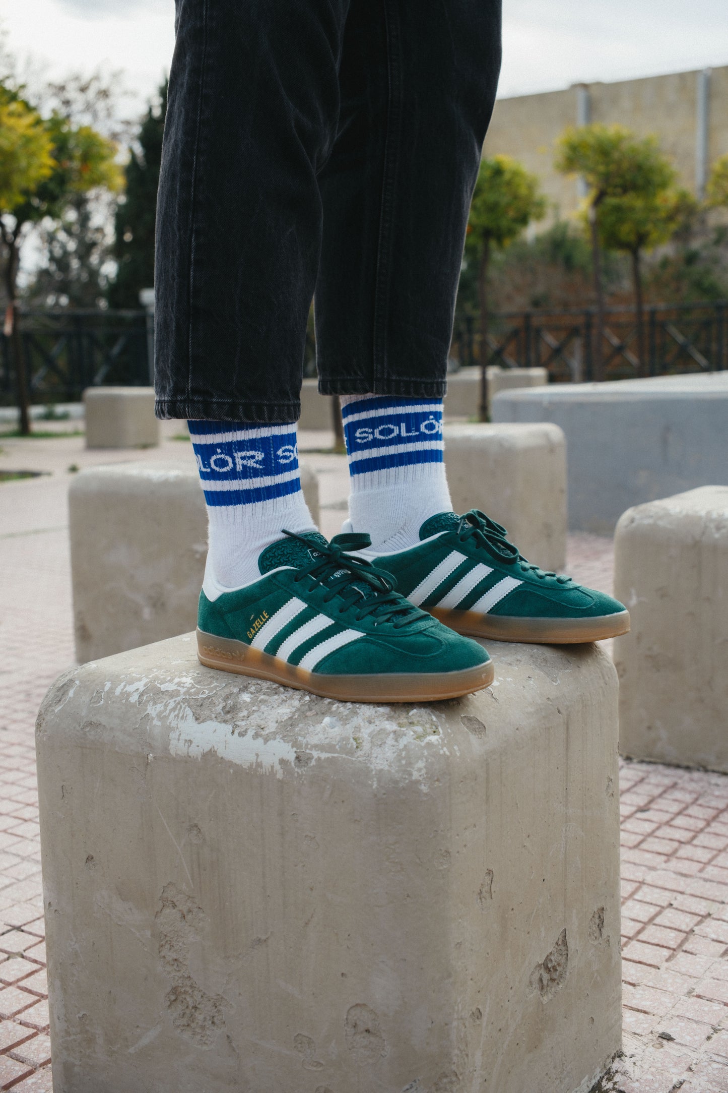 Solor Logo Socks