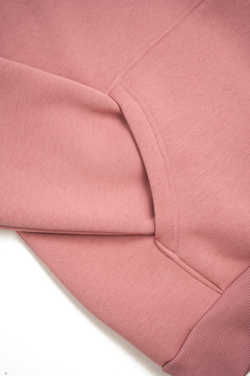 Rotten Apple Hoodie